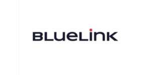 Logo BlueLink